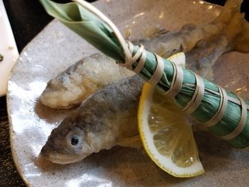 索西亚酒店