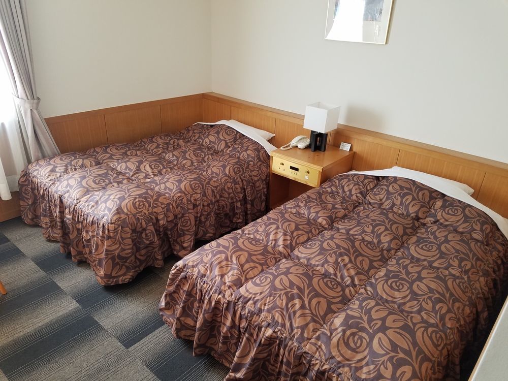 酒店 索西亚酒店 3*